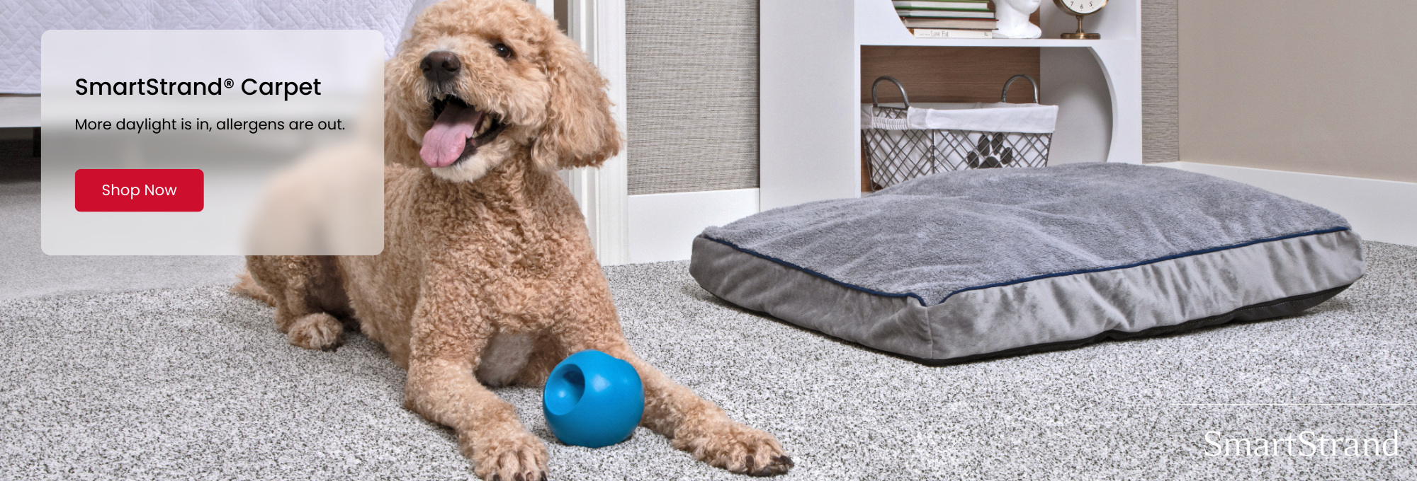 Mohawk SmartStrand Carpet Promotion